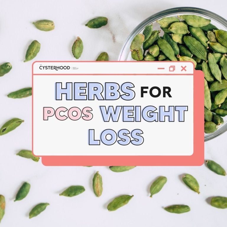 24 Right Herbs which can Help Alleviate your PCOS Symptoms