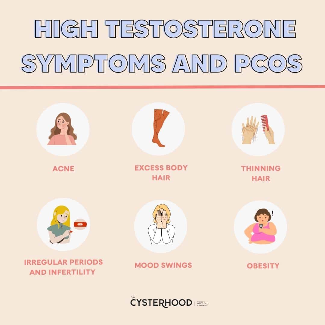 6 High Testosterone Symptoms And PCOS PCOS Weightloss 6 High Testosterone Symptoms And PCOS PCOS Weightloss