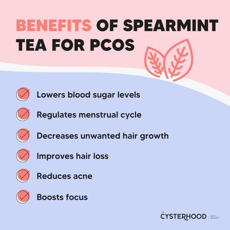 Spearmint Tea For PCOS + The Best Brands PCOS Weightloss