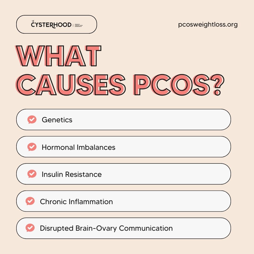 What Causes PCOS