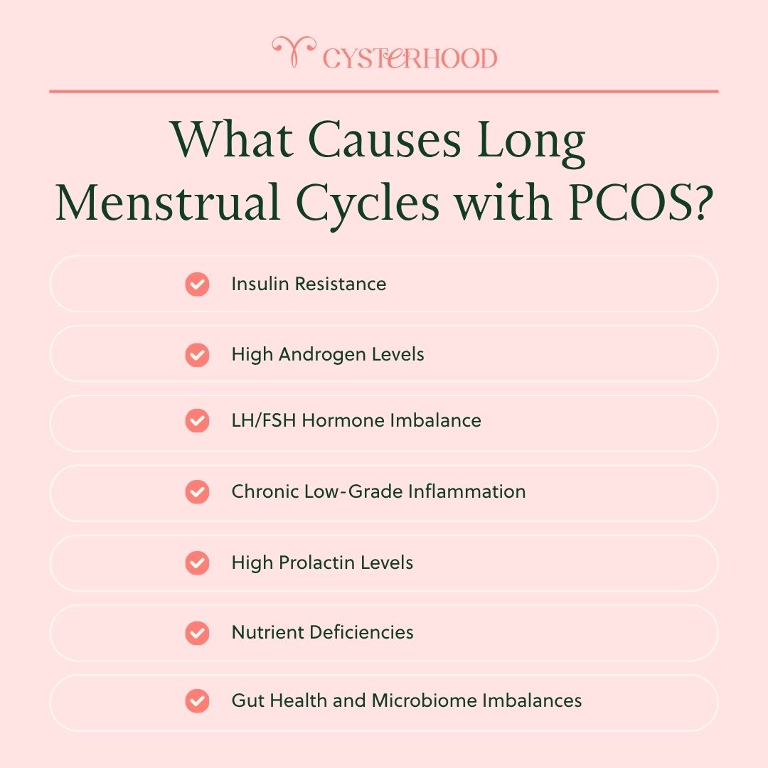 What Causes Long Menstrual Cycles with PCOS?