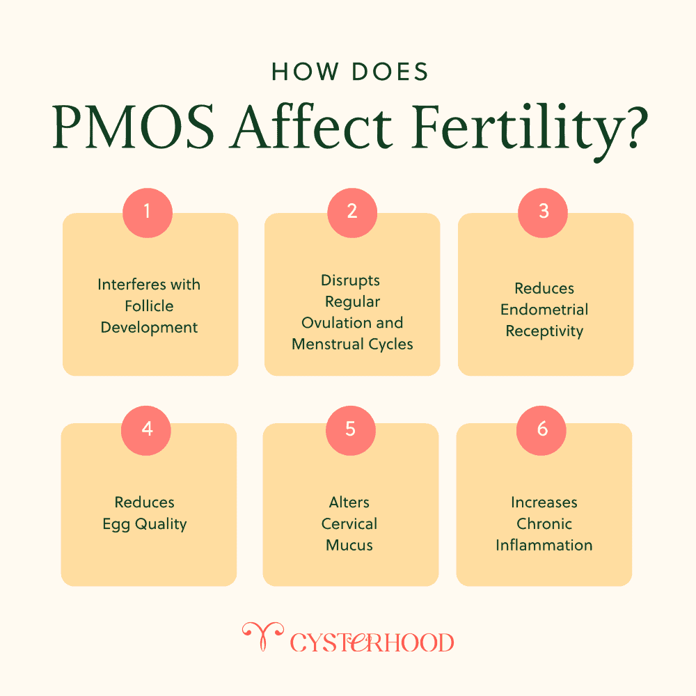 55 - PCOS Weightloss How Does PMOS Affect Fertility