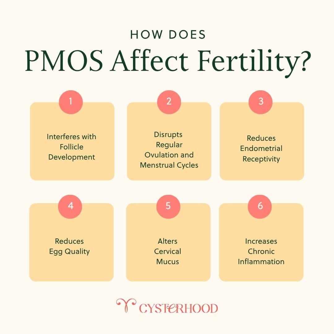 PCOSCHILL 2026 - PCOS Weightloss How Does PMOS Affect Fertility